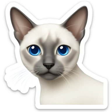 White Siamese cat with blue cross eye￼s sticker