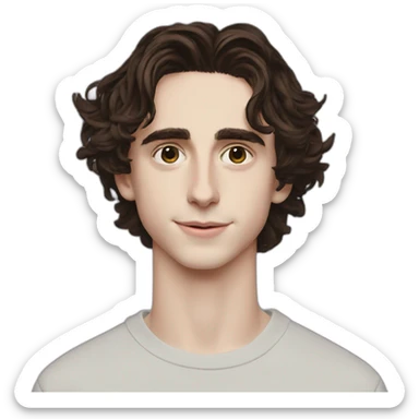 Timothee Chalamet sticker