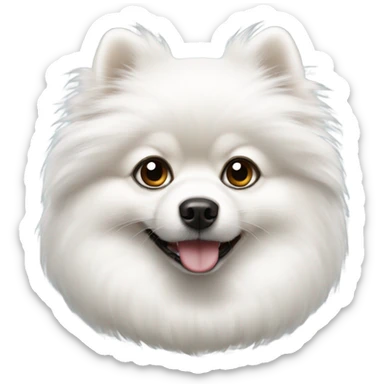 white pomeranian with one black eye sticker