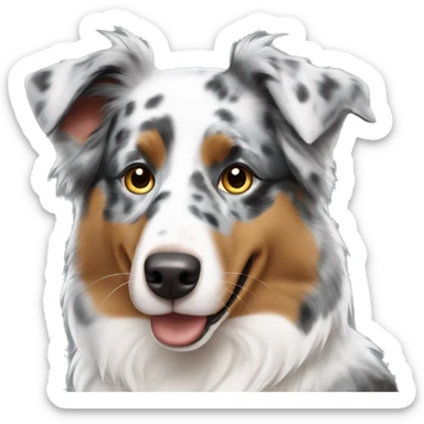Australian shepherd blue merle sticker