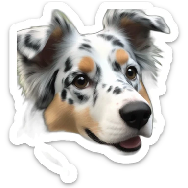 chien berger australien bleu merle sticker