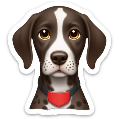 Dark Brown spotted German short haired pointer puppy with ticking with red collar  sticker