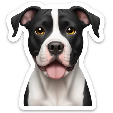 Black and white American pit bull sticker