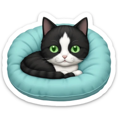 tuxedo short haired cat with green eyes sleeping in a lightblue pillow sticker
