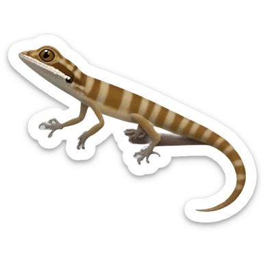 Barred Anole creme brown sticker