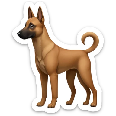 Belgian malinois sticker