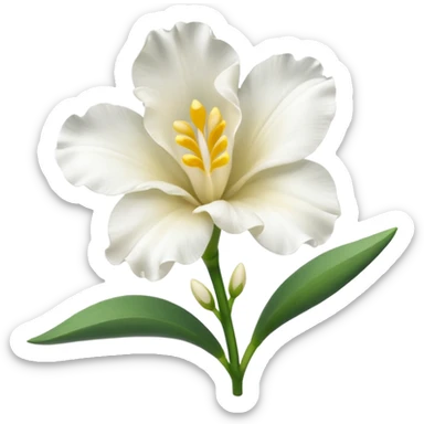 white freesia flower sticker