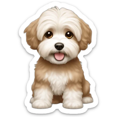 dog light brown bichon havanese crazy sticker