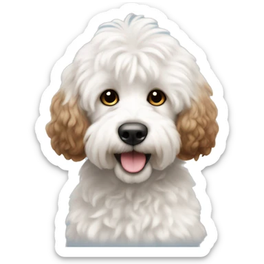 Fluffy white cockapoo with brown spot on bottom  sticker