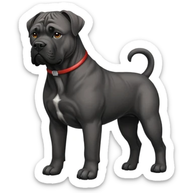 Cane Corso  sticker