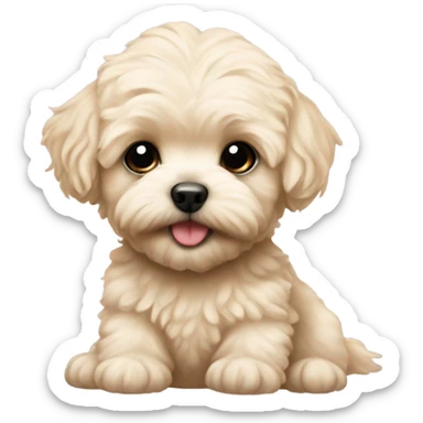 blonde baby maltipoo sticker