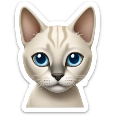 Thai breed cat with a light cream-brown body, dark gray nose and face, ears, and paws. sharp ears, and striking light blue eyes  sticker