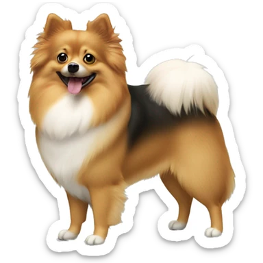 German spitz mittel dog  sticker