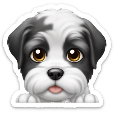 White and black shitzu puppy sticker