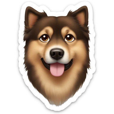 Finnish Lapphund brown. His nose and face is full of dark brown dots sticker