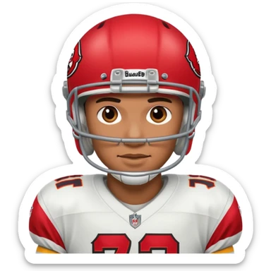 Tampa buccaneers  sticker