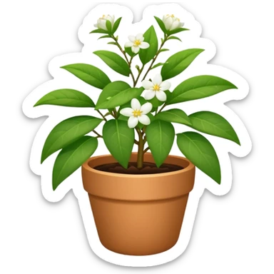jasmine plant in pot sticker