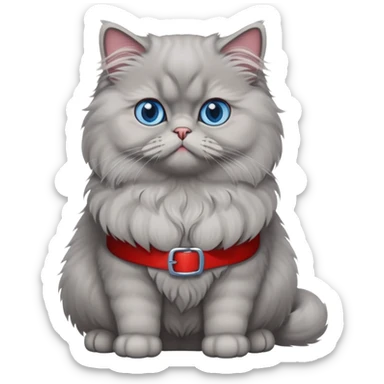 gray Persian cat full body sitting with blue eyes and red belt sticker