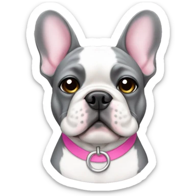 Grey and white French bulldog with pink collar sticker