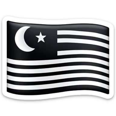 A simple flag with three black horizontal lines and three white horizontal lines, no stars and no moon sticker