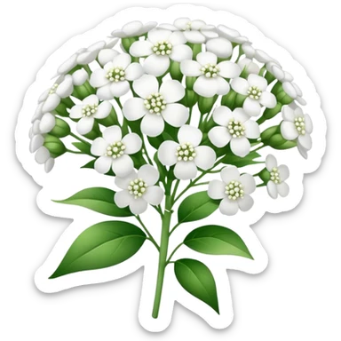 baby’s breath  sticker