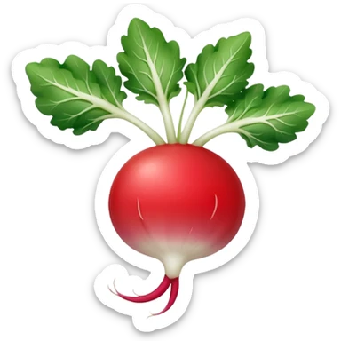 smaller radish UK plant with a bit of white on the bottom of the radish sticker
