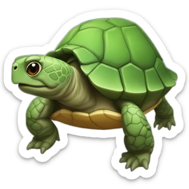 tortue fumant  sticker