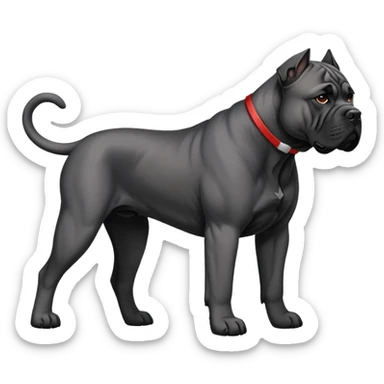 Cane Corso ￼ sticker
