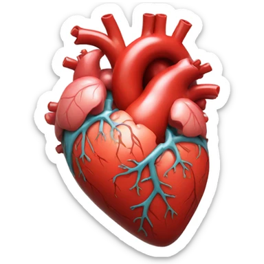 anatomical organic heart sticker