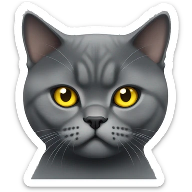 Dark gray angry British shorthair with yellow eyes  sticker