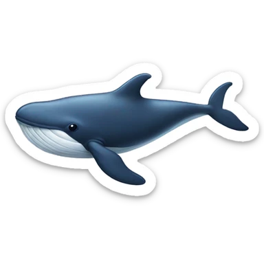 whale sticker
