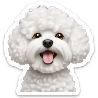 Bichon Frise with funny curly hair  sticker