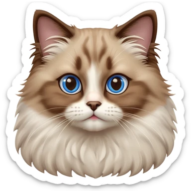 cinematic-adorable-big-eyed-fluffy-brown ragdoll-cat-portrait-emoji,-head-tilted-playfully-with-a-sweet-expression,-fluffy-white and brown-fur,-simplified-yet-irresistibly-cute-features-with-large,-expression, blue eyed ragdoll cat sticker
