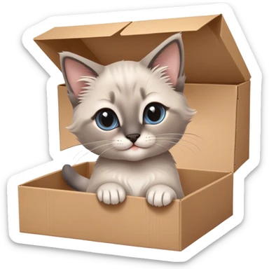  A very cute gery young happy kitten long hair Siamese Cat cat with one's head tilted to one side poked its paws out of the cardboard big box and placed them on top of it sticker