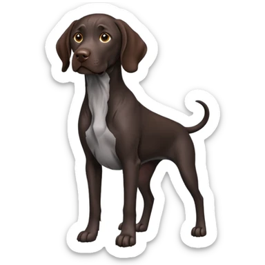 black German shorthair pointer dog sitting sticker