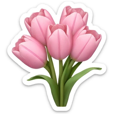pastel pink tulip bouquet sticker