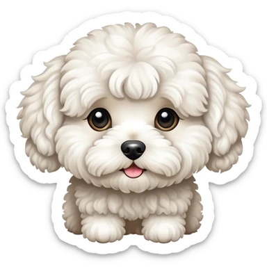 white maltipoo sticker