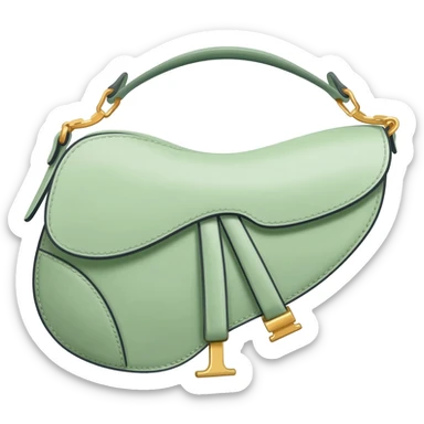 light green dior saddle bag sticker