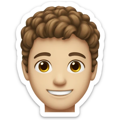 Brown hair, teen boy, blue greenish eyes white skin smiling sticker