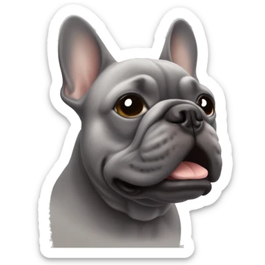 muzzle of a gray French bulldog sticker