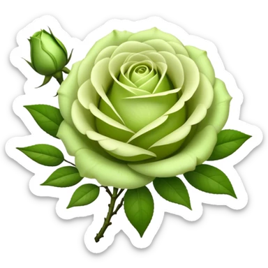 big bouquet Soft Green Tea Rose flower and bud, luxuriant, leaf, bud sticker