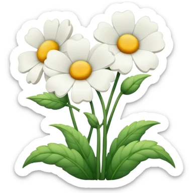 ramo de flores de claveles blancos sticker