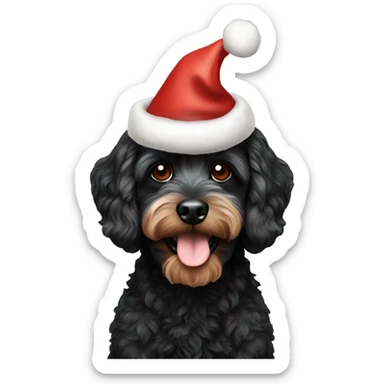 Black cavapoo with Christmas hat sticker