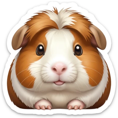 Meerschweinchen  sticker
