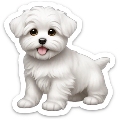 Shin zhu maltese puppy happy sticker