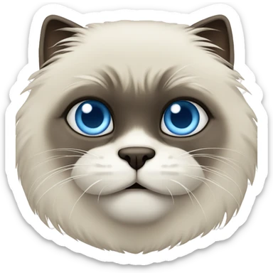 Himalayan cat with wide blue eyes sticker