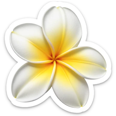 plumeria flower with five white petals and yellow center sticker