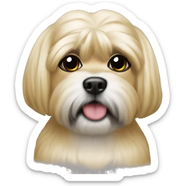 Blonde shitzu with black mouth sticker