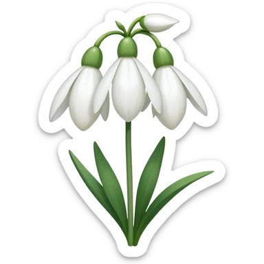 snowdrop flower sticker