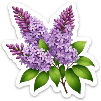 Lilacs  sticker